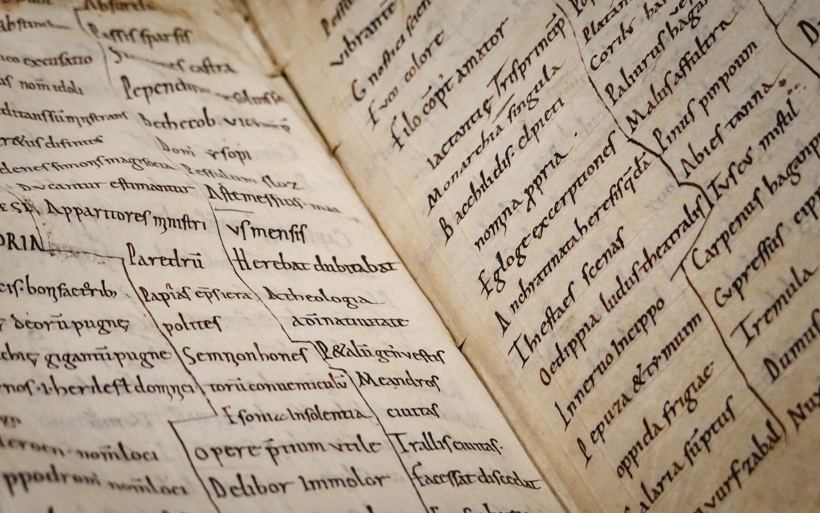 Open manuscript pages showing dense Latin text in medieval script with brace-linked entries