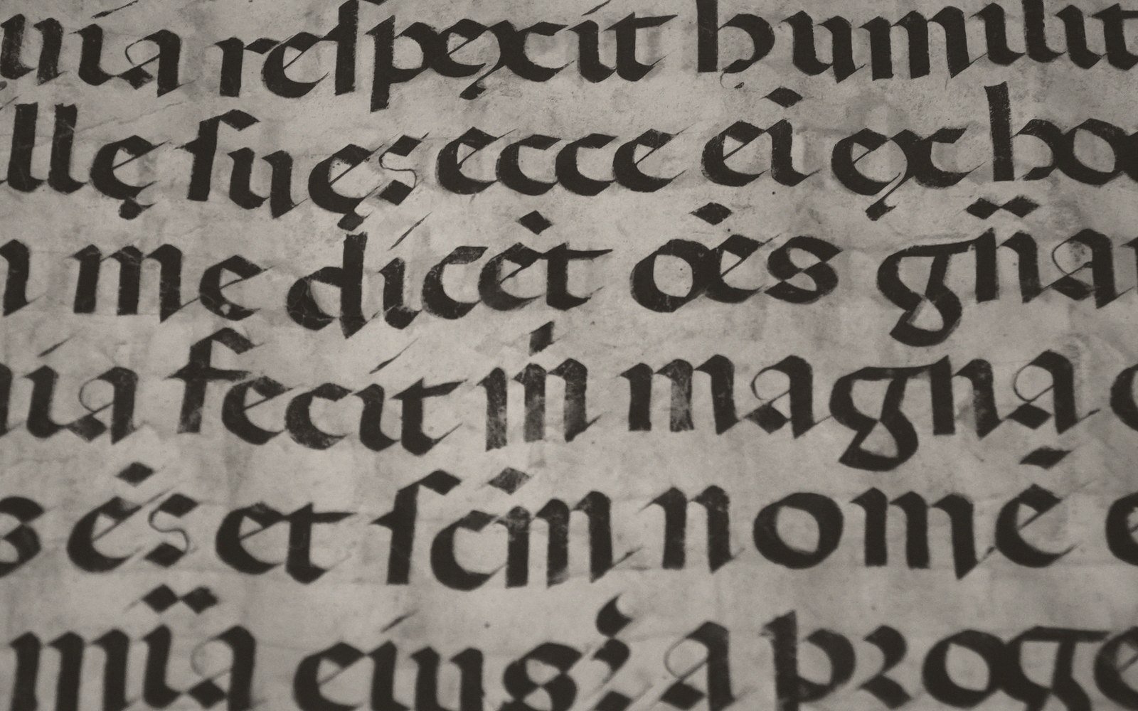 Close-up of blackletter Latin script with abbreviations handwritten on aged parchment
